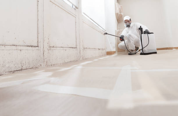 24/7 Emergency Mold Remediation experts in Springfield, IL