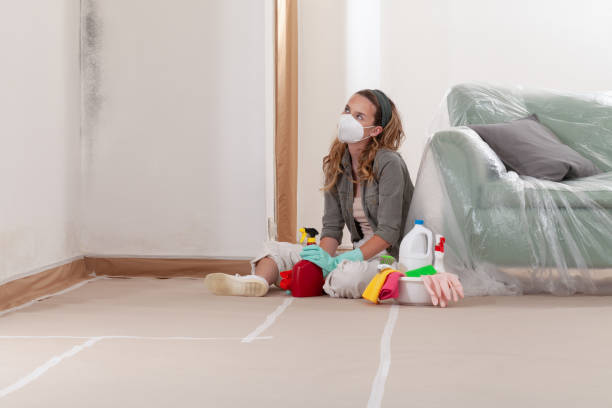 Reliable Mold Remediation contractor in Springfield, IL by 24 Hour Mold Removal